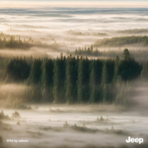 

Jeep by nature
